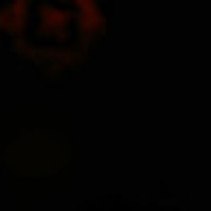 Meet your Posher, Kevin kearney